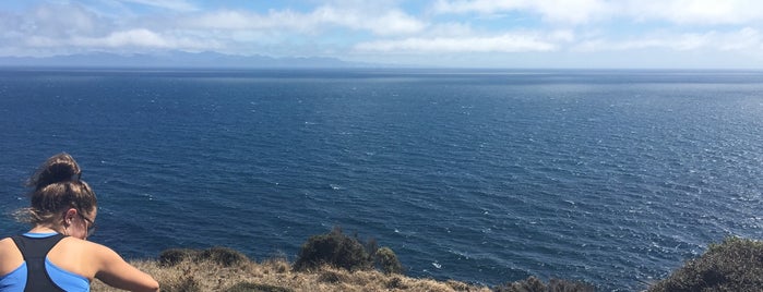 Makara Beach is one of Lugares favoritos de Raluca Bastucescu.