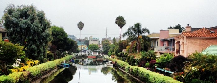 Venice Canals is one of US - Must Visit ( West Cosat ).