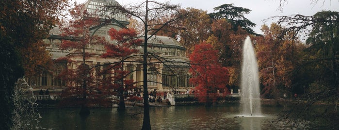 Palacio de Cristal del Retiro is one of Locais curtidos por Rocío.