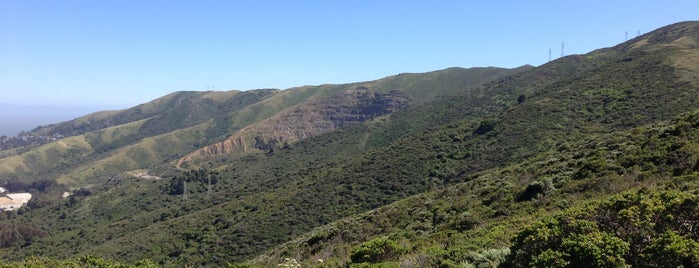 Summit Loop Trail is one of Hiking in Bay Area.