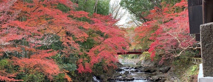 가쓰라바시 다리 is one of 渡った橋（東日本）.