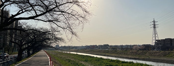 柳瀬川桜並木 is one of 木・緑地.