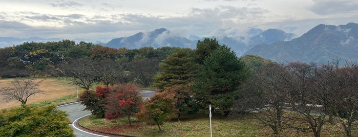 妙義山 is one of 日本の🗻ちゃん(⌒▽⌒).