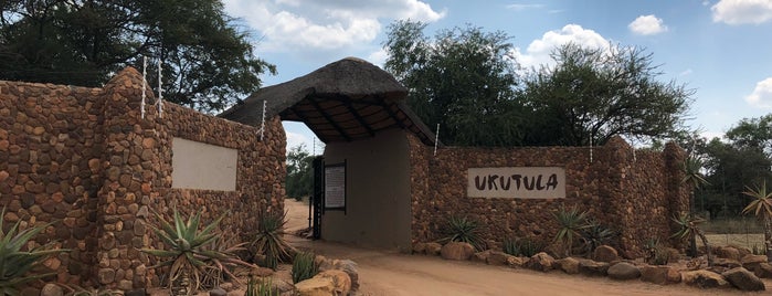 Ukutula Lion Park and Lounge is one of Things to do at Hartebeespoort.
