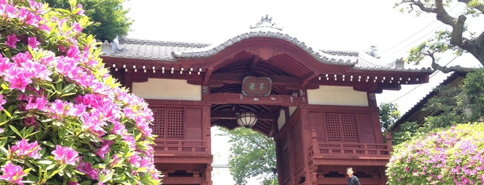 Gokoku-ji Temple is one of 訪れた宗教センター.