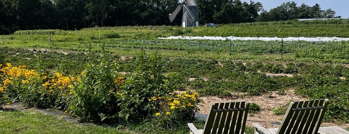 Sylvester Manor is one of Farms.