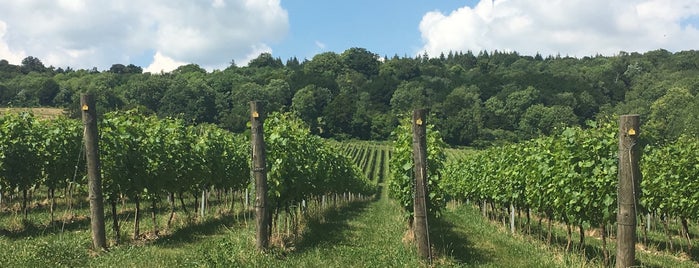 Albury Organic Vineyard is one of Tempat yang Disukai Ankur.