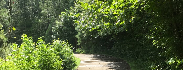 Big Creek Park is one of Born to Run.