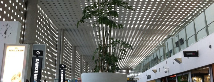 Terminal 2 is one of Orte, die Ricardo gefallen.