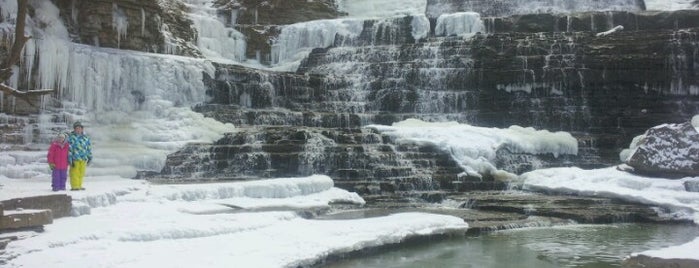 Albion Falls is one of Local excursions.