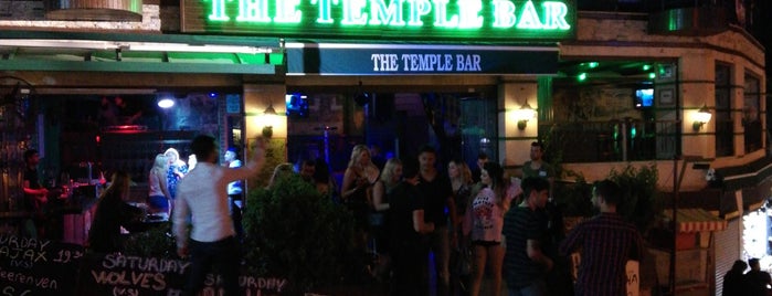 The Temple Bar is one of Orte, die Burcu gefallen.