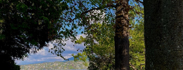 Parc Mon Repos is one of A Genève pour le mariage de LoNo.