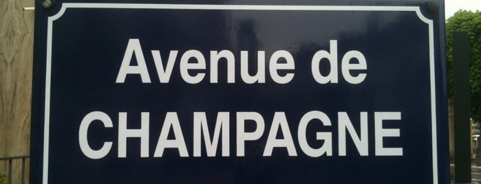 Épernay is one of France - to revist in 2014.