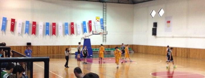 Bayrampaşa Çetin Emeç Spor Salonu is one of Lugares guardados de Aynur.