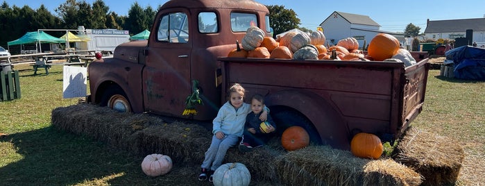 Von Thun's Country Farm Market is one of New Jersey.