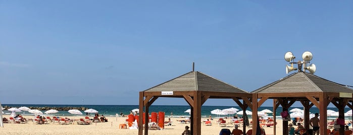 9 Beach is one of Israel.