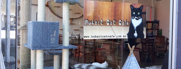 Hobart Cat Cafe is one of Tempat yang Disimpan Matt.
