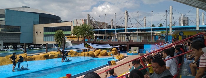 Acquatica - Sea Lion Show is one of Places to go.