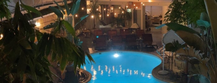 Avalon Hotel Beverly Hills is one of hotel bars..