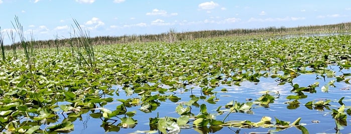 Everglades Airboat Rides is one of Miami.