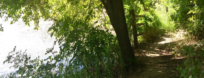 Elm Fork Nature Preserve @ McInnish Park is one of Posti che sono piaciuti a Chris.