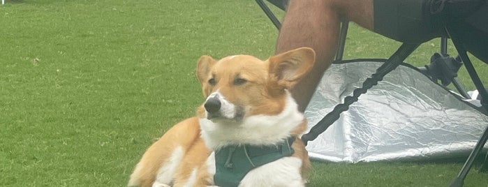 Onion Creek Soccer Complex is one of We Don’t Need No Stinkin’ Leashes.