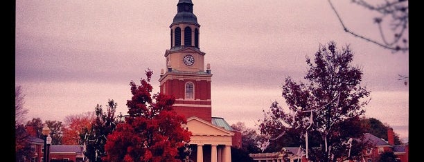 Wake Forest University is one of NCAA Division I FBS Football Schools.