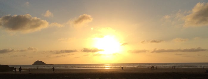 Muriwai Beach is one of Auckland.