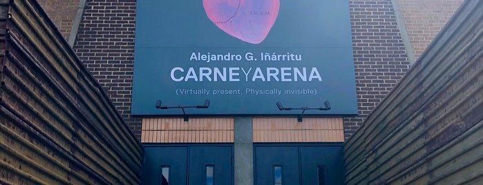 Carne Y Arena is one of DC: To Do.