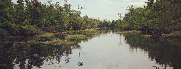 Jean Lafitte Swamp Boat Tours is one of Allyson 님이 좋아한 장소.