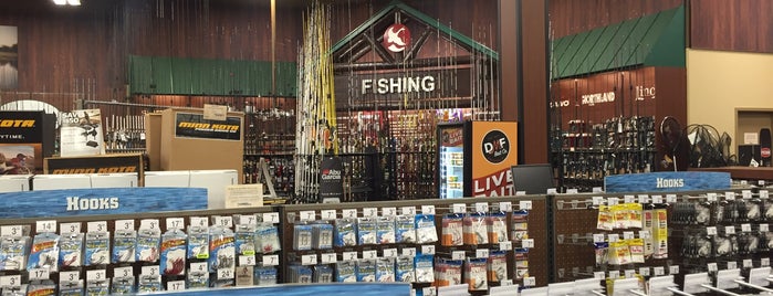 Gander Mountain is one of Lieux qui ont plu à Andy.