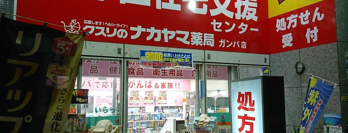 ガンバ 向ヶ丘遊園店 is one of 向ヶ丘遊園駅 | おきゃくやマップ.