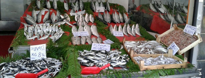 Mercan Balıkçısı is one of mağaza.