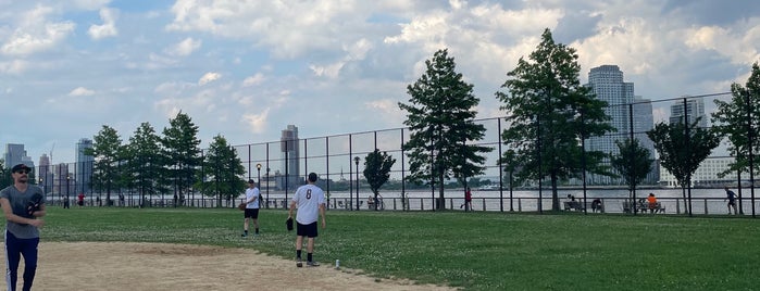 East River Park Fields is one of DINA4NYC.