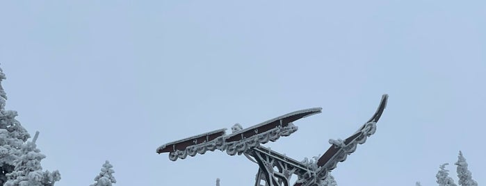 Gore Mountain Ski is one of ski resorts for squiggy.