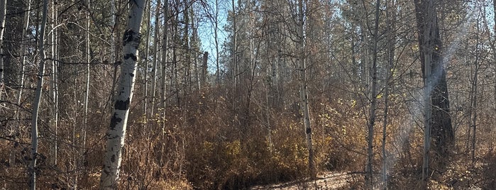 Shevlin Park is one of Bend, OR.