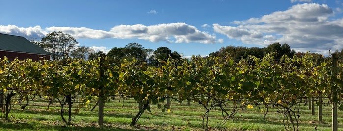 Rosedale Farms & Vineyards is one of Connecticut.