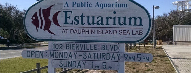 Dauphin Island Sea Lab is one of Things To Do & Places To See -- Gulf Coast.