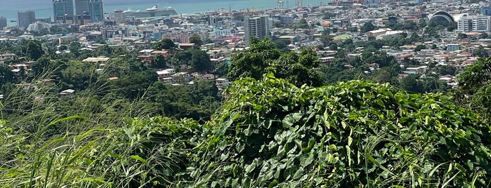Lady Young Road Lookout is one of Road Trip Locations In Trinidad.