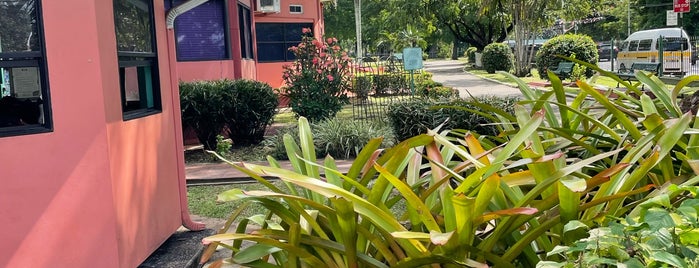 Royal Botanic Gardens of Trinidad and Tobago is one of Road Trip Locations In Trinidad.