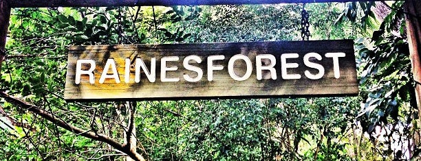 Rainesforest Massage & Day Spa is one of Places to go in Indooroopilly.