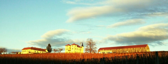 Marof is one of Slovenian wineries.