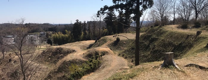 Sugiyama Castle Ruins is one of 城郭、城跡.