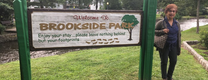 Brookside Park is one of Fun Places To Go With My Son!.