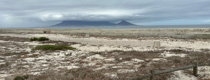 Dolphin Beach is one of Cape Town, South Africa.