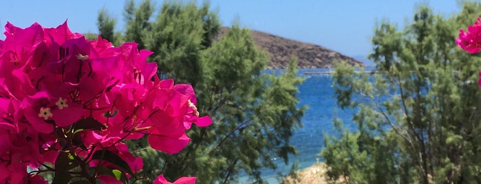 Albatross Hotel Livadi is one of Σέριφος.