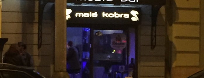 Malá kobra is one of Prague Pubs.