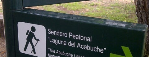 Centro De Visitantes Del Parque De Doñana El Acebuche is one of Andalucía.