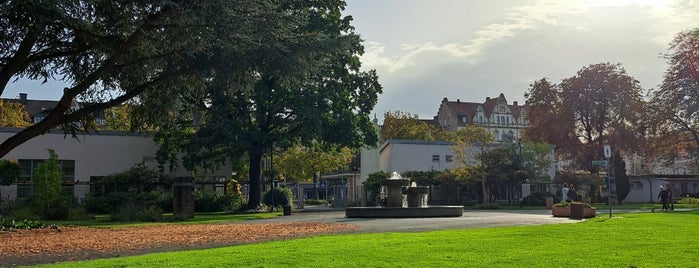 Bürgergarten is one of Besuchte Orte.