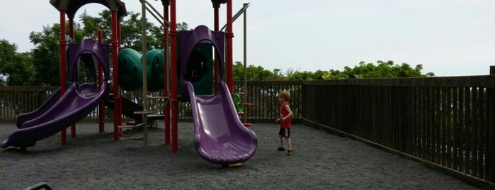 Kamakana Playground (Higashihara Park) is one of Big Island.